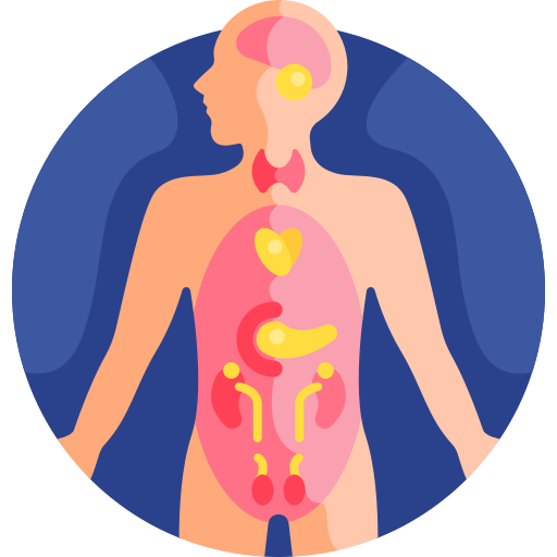 endocrine
